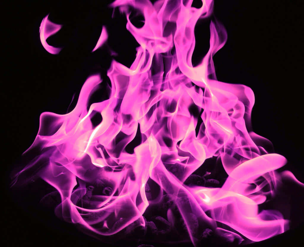 Thick Pink Flames