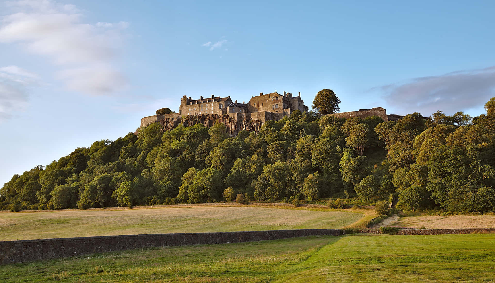 Thick Trees At Sterling Castle Background