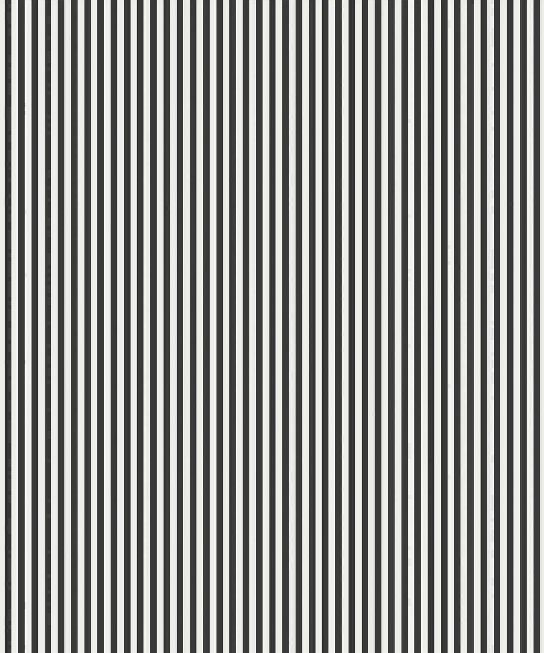 Thin Black And White Stripes Background