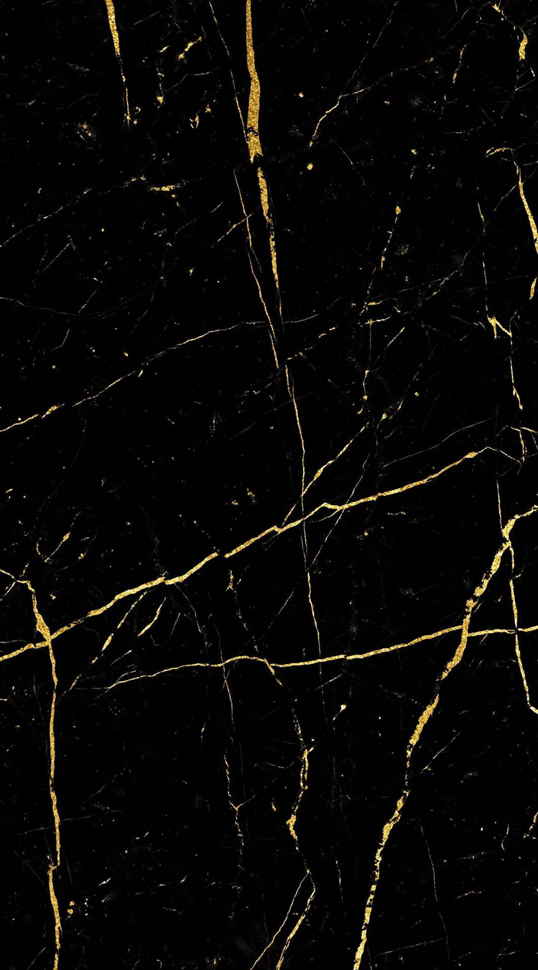 Thin Black Gold Marble Background