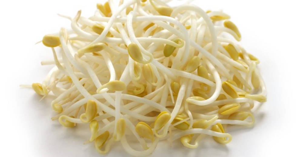 Thin Crisp Mung Bean Sprouts Vegetable