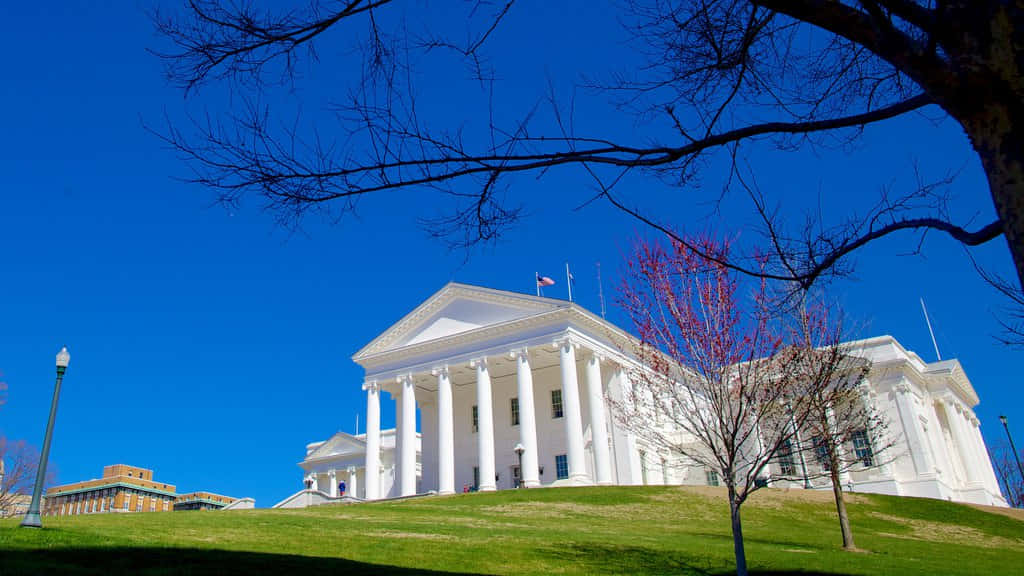 Thin Trees At The Virginia State Capitol