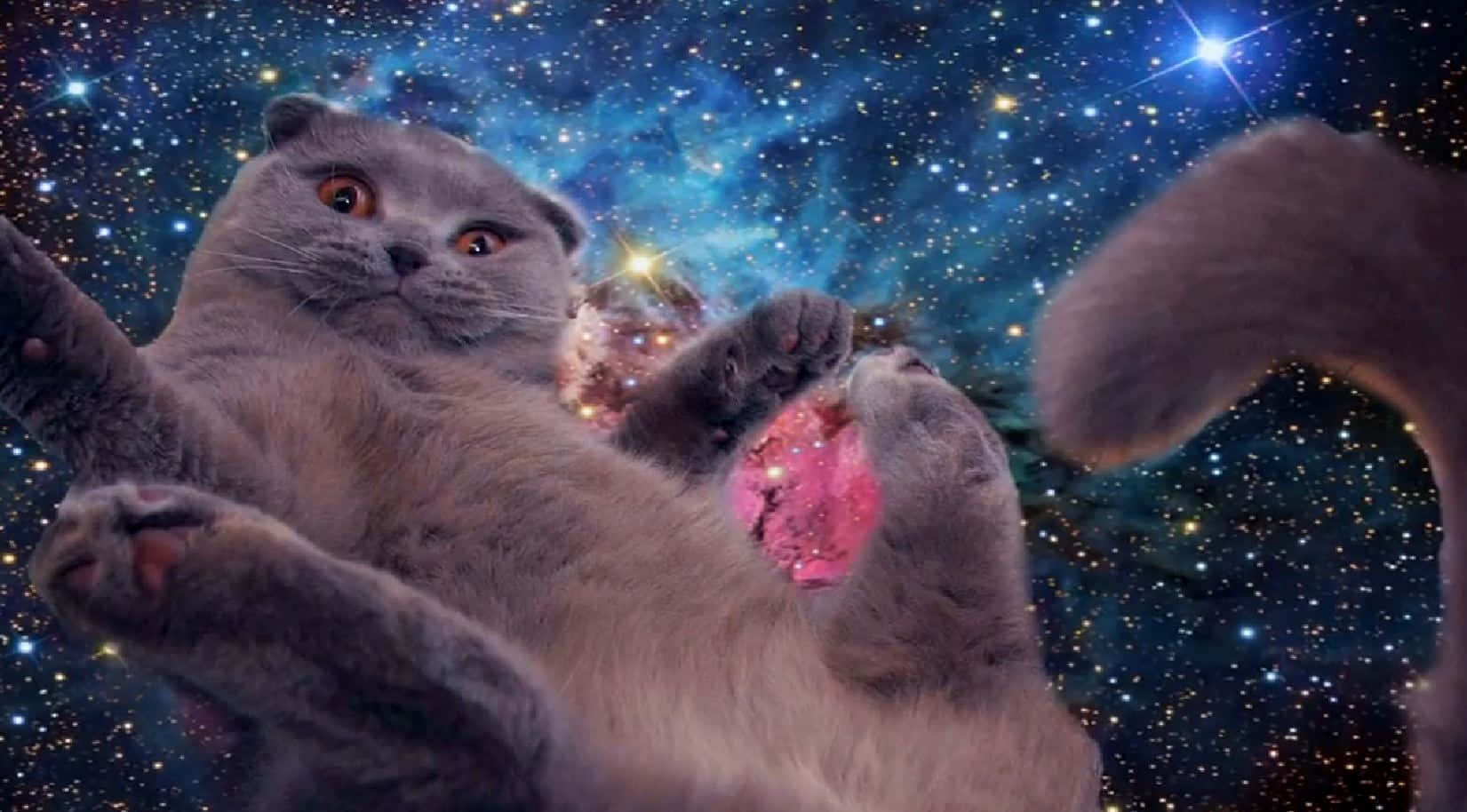 This Cat Is Out Of This World! Background