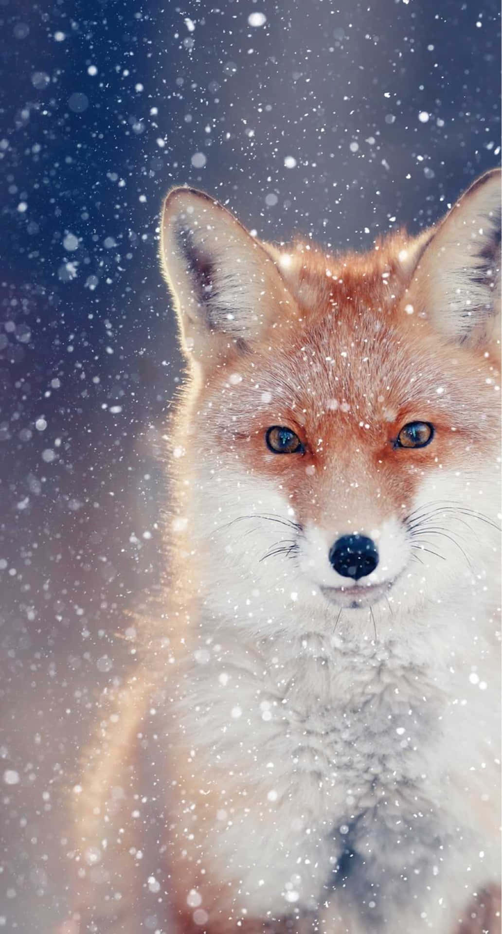 This Cool Anime Fox Is Ready To Play Background