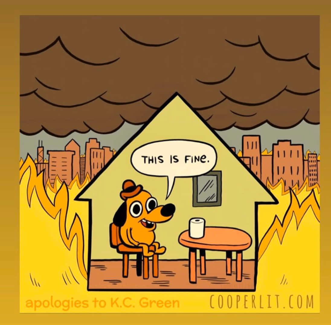 This Is Fine Dog In Burning House Background