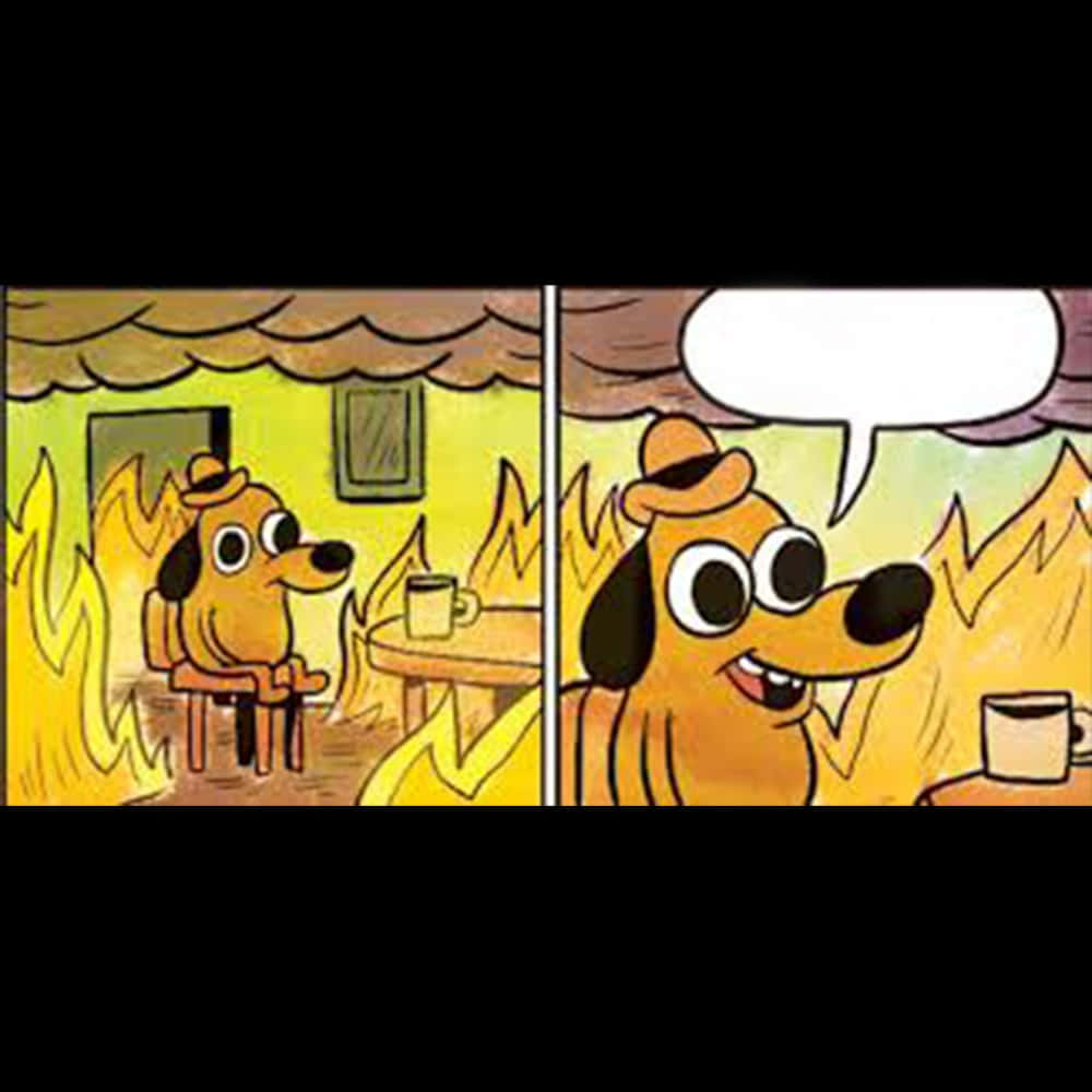 This Is Fine Dog Saying Nothing Background