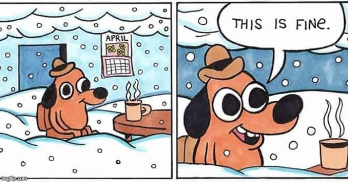 This Is Fine Dog With A Snowy House