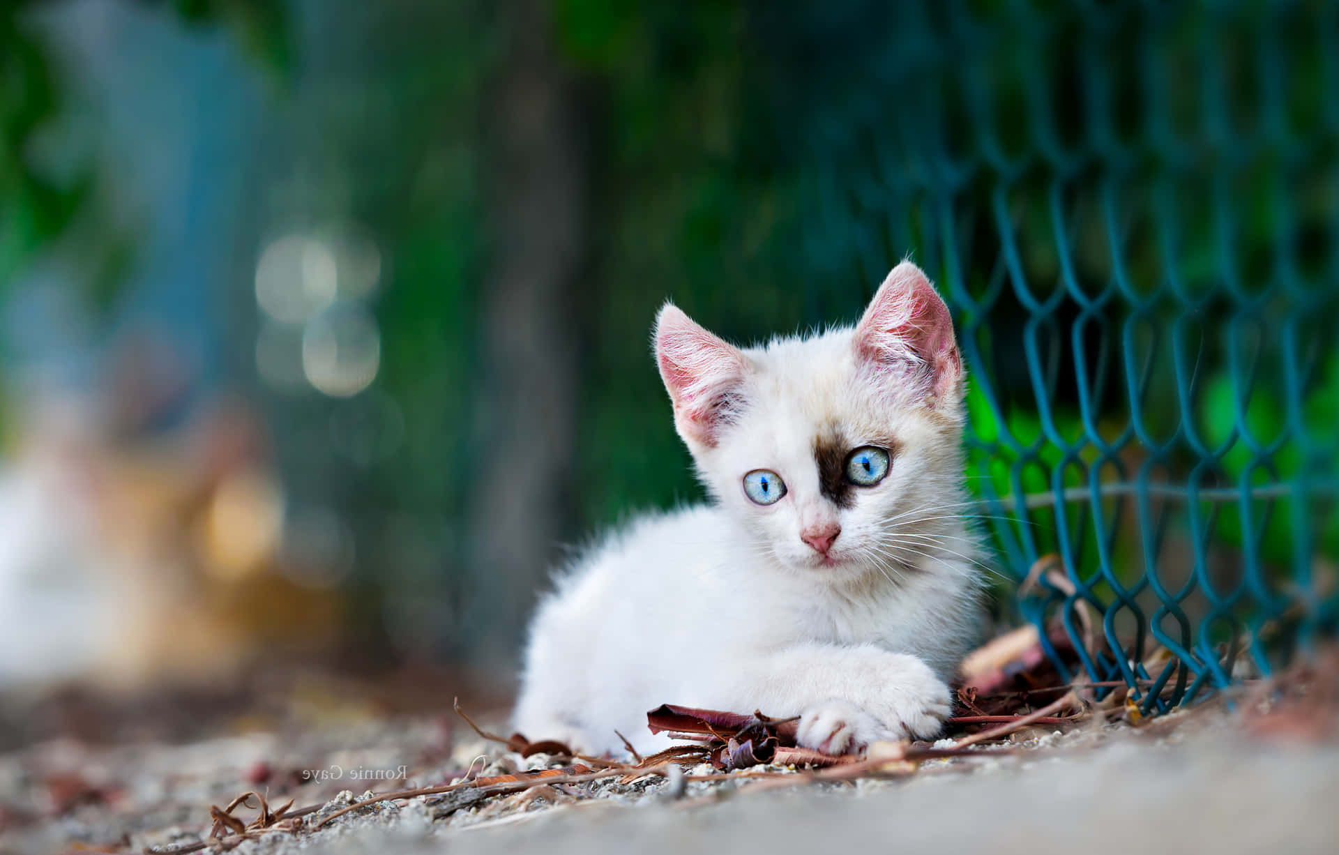 This Little One Is Ready To Take On The Day! Background