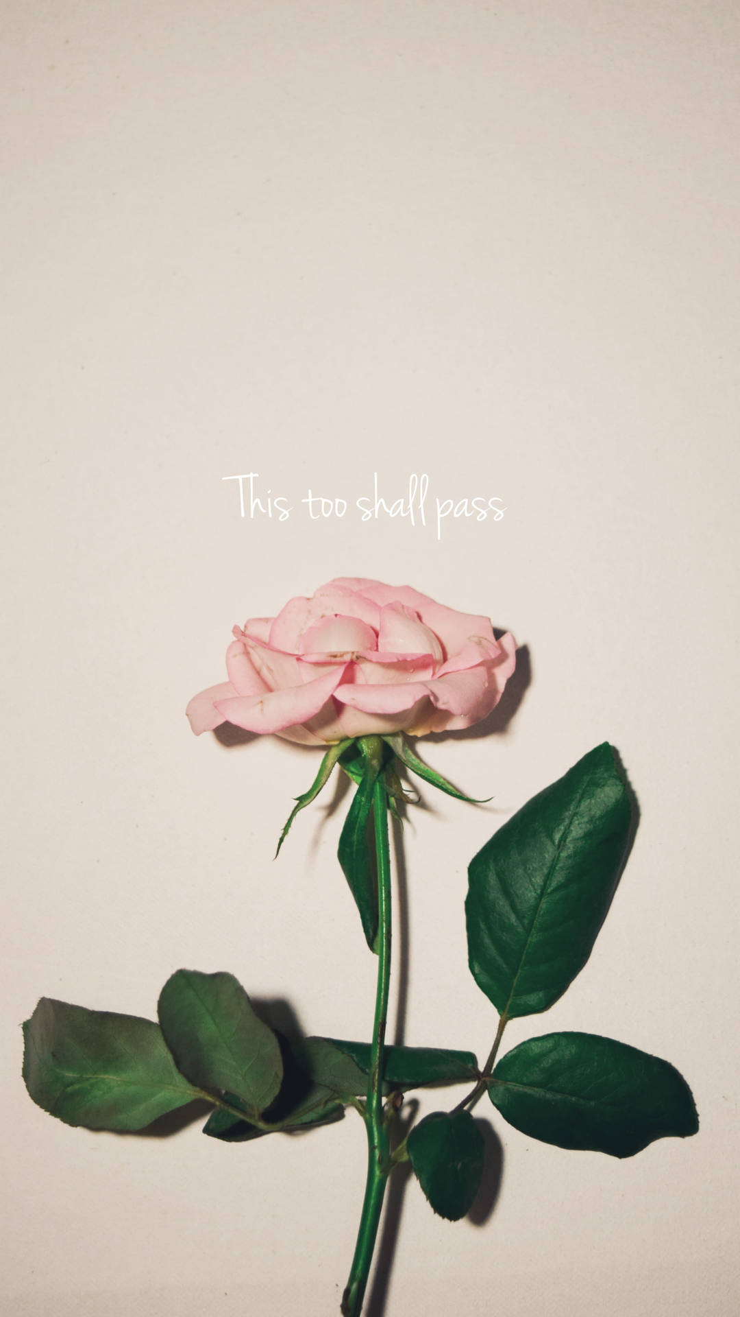 This Too Shall Pass Small Quotes Background
