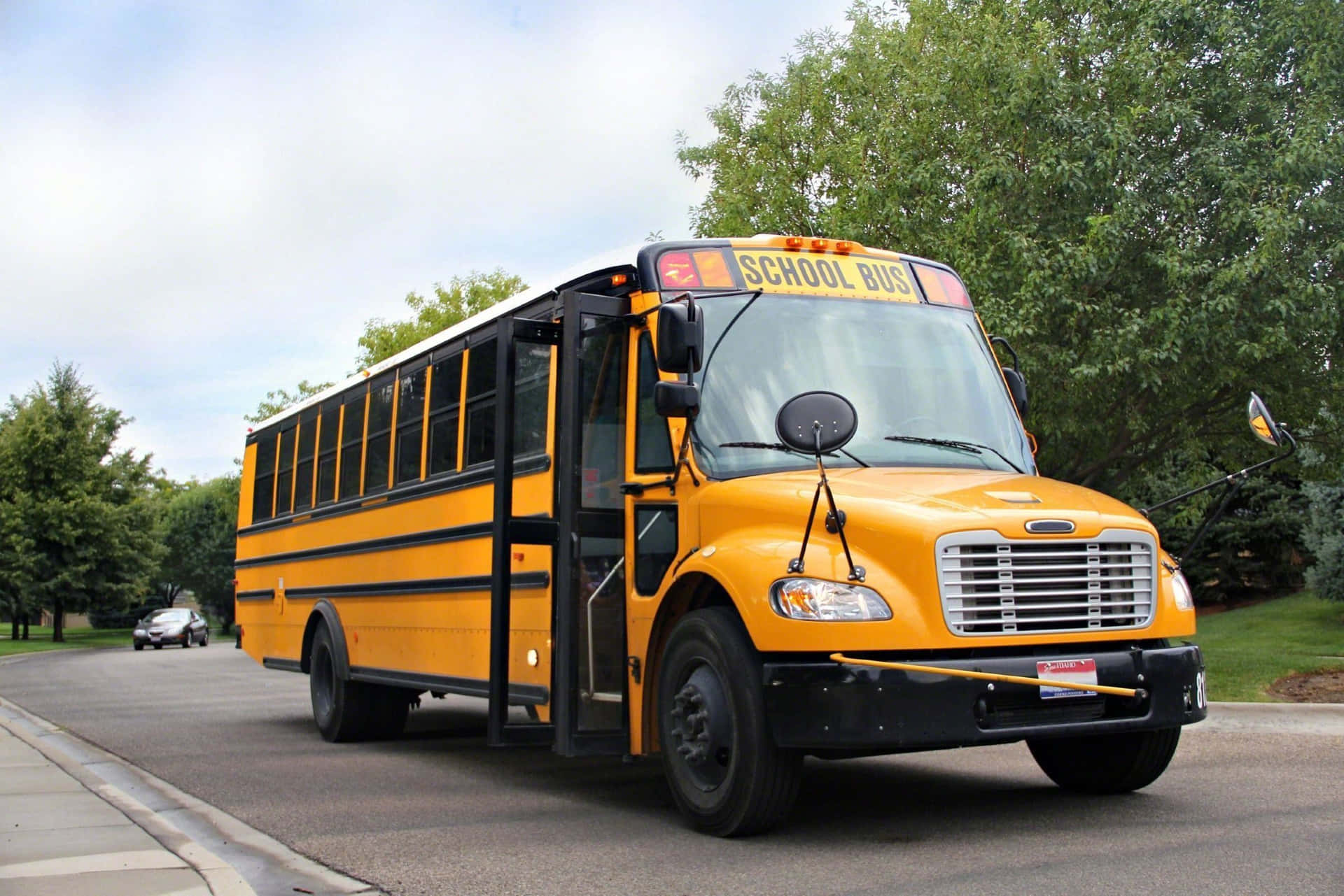 Thomas Built School Bus With Trees