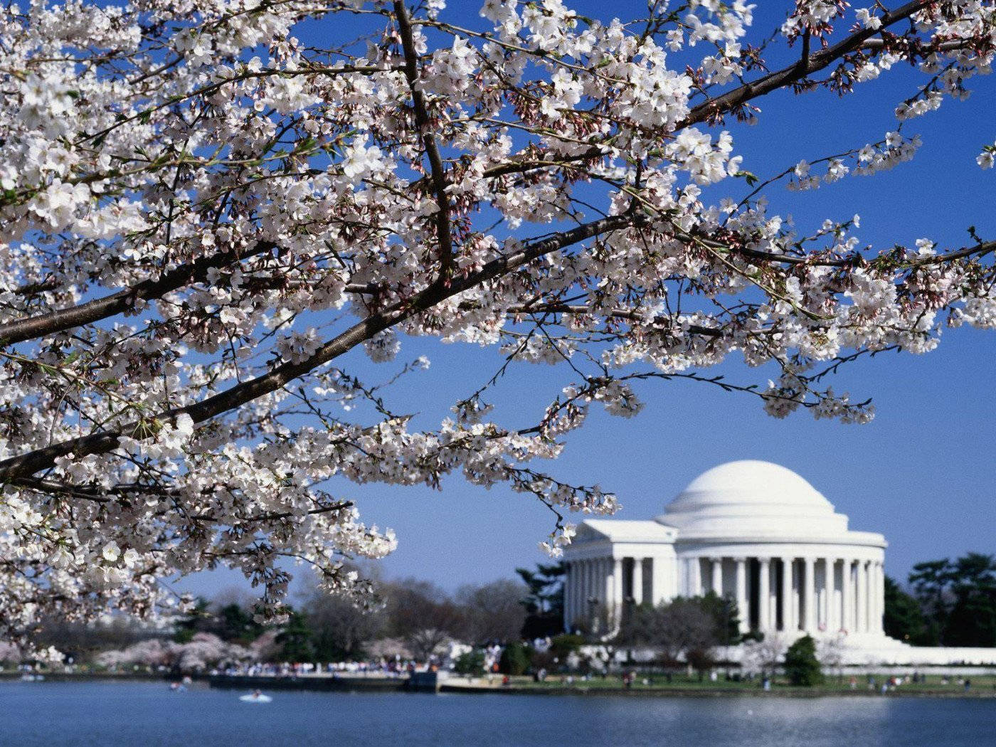 Thomas Jefferson Memorial Washington, Dc Background