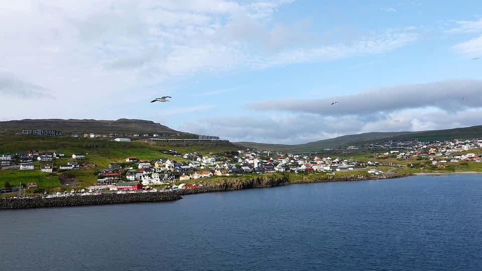 Thorshavn Coastline With Birds Flying Background