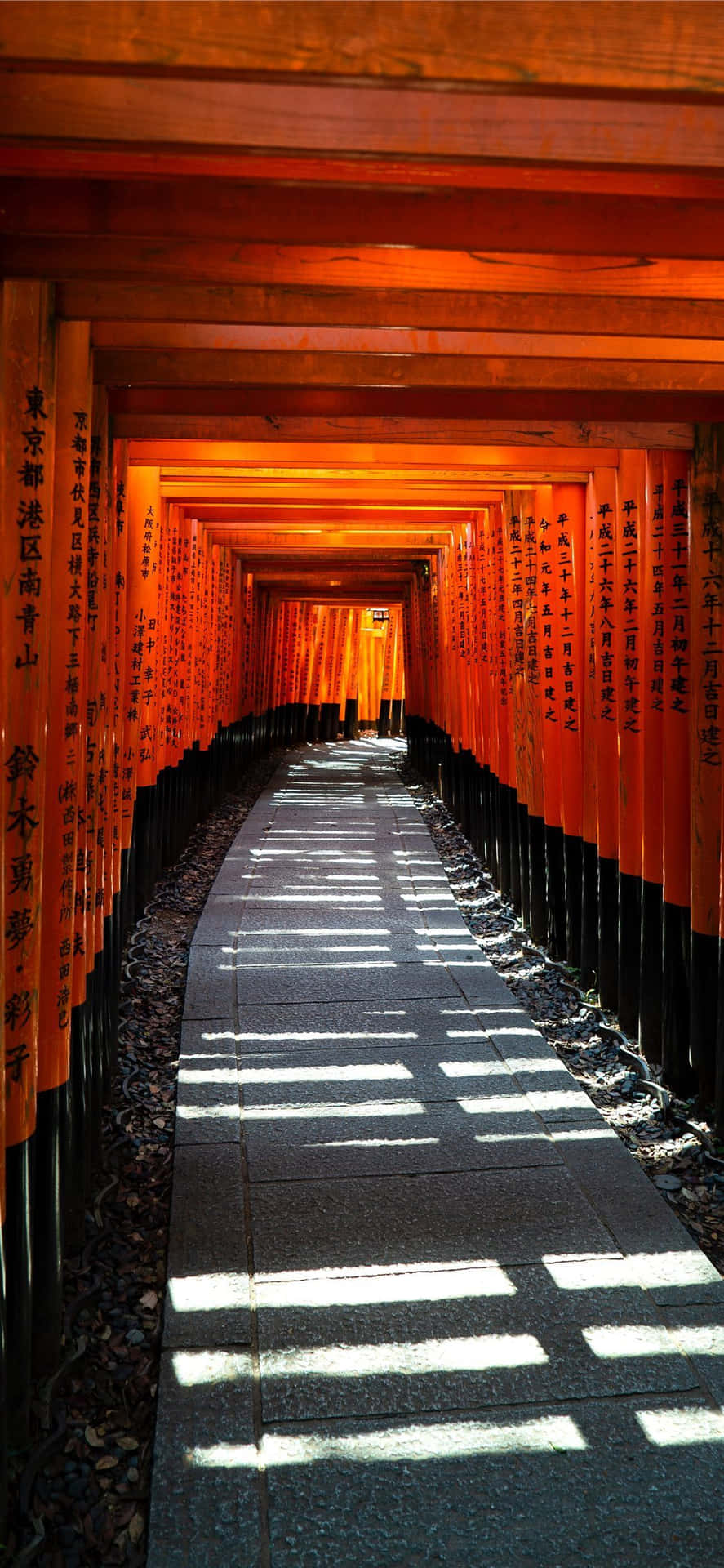 Thousands Torii Gate Japanese Iphone Background