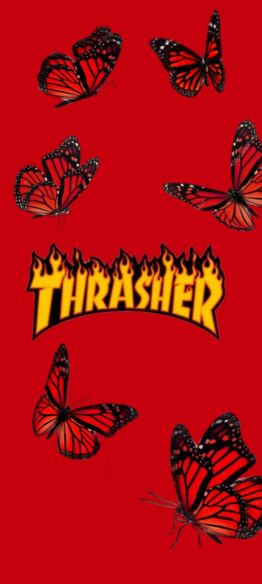 Thrasher Red Butterflies Background