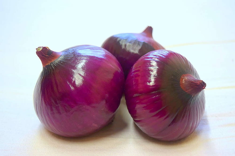 Three Alliaceous Red Onion Vegetables