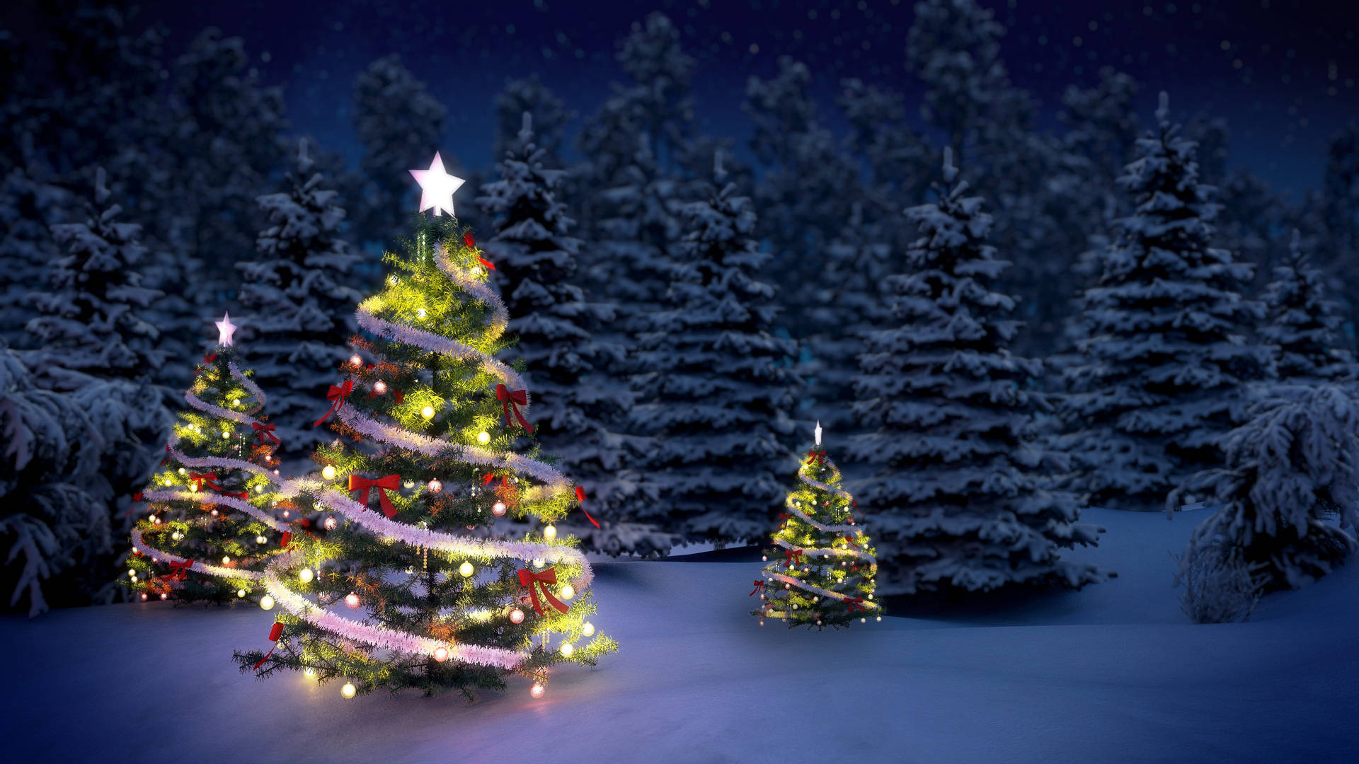 Three Beautiful Christmas Trees Outdoors