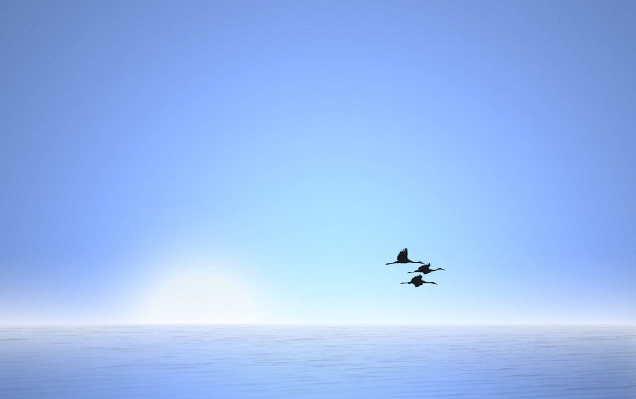 Three Birds Flying Over The Luminous Sky And Sea Background