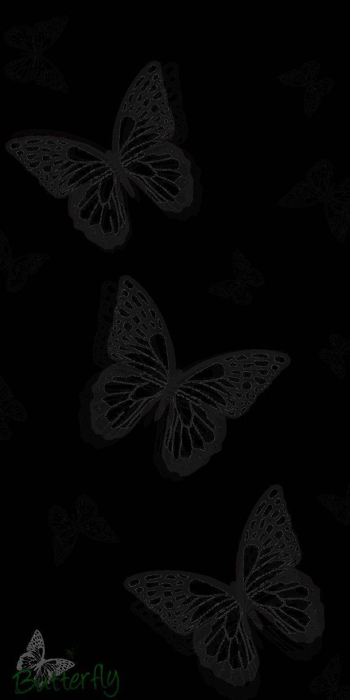 Three Black Butterfly Graphics Background