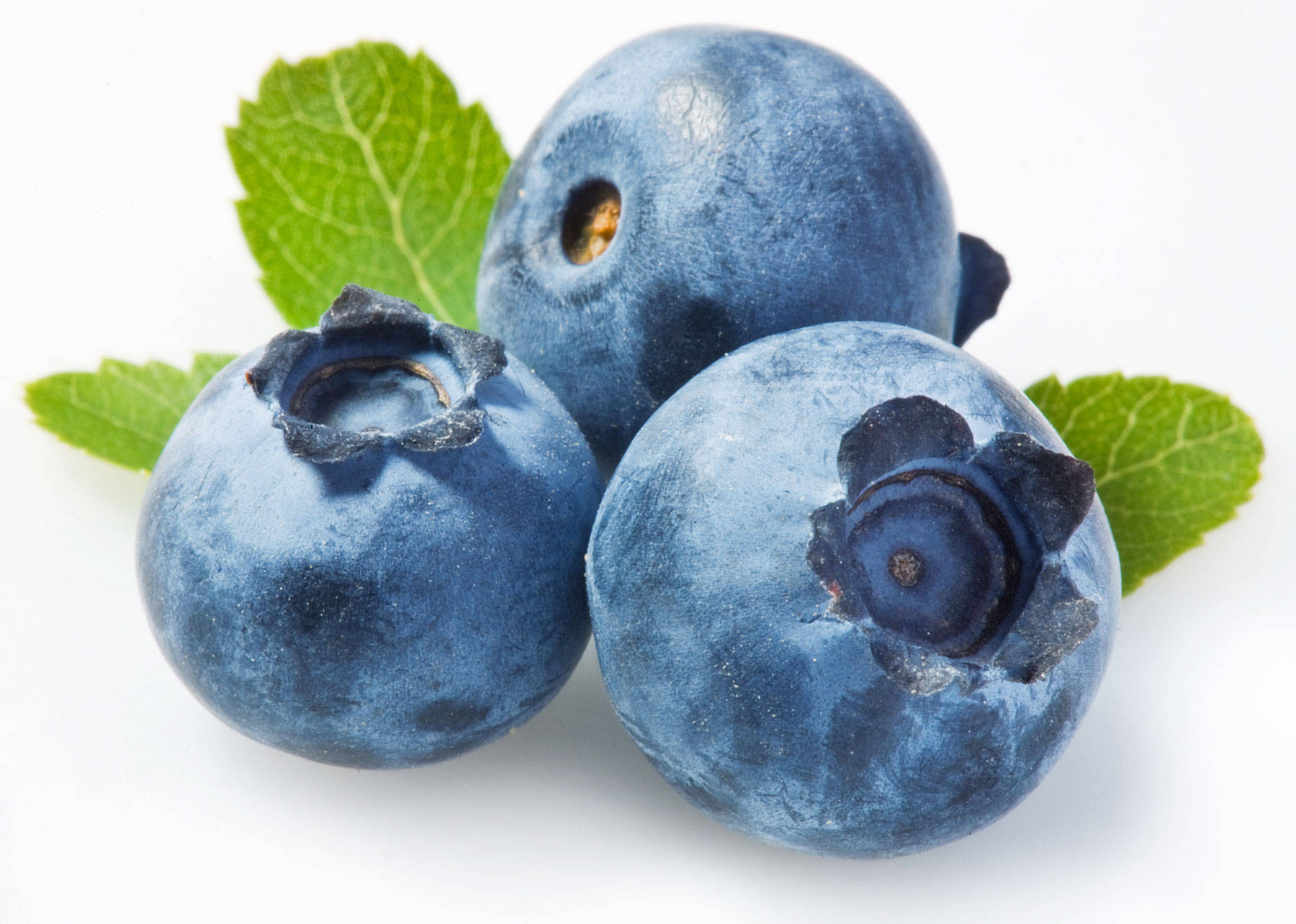 Three Blueberries On White Surface