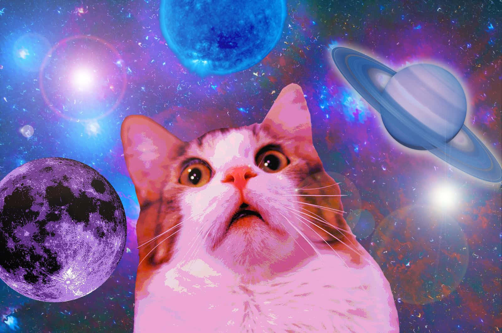 Three Brave Cats Explore The Unknown Depths Of Space Background