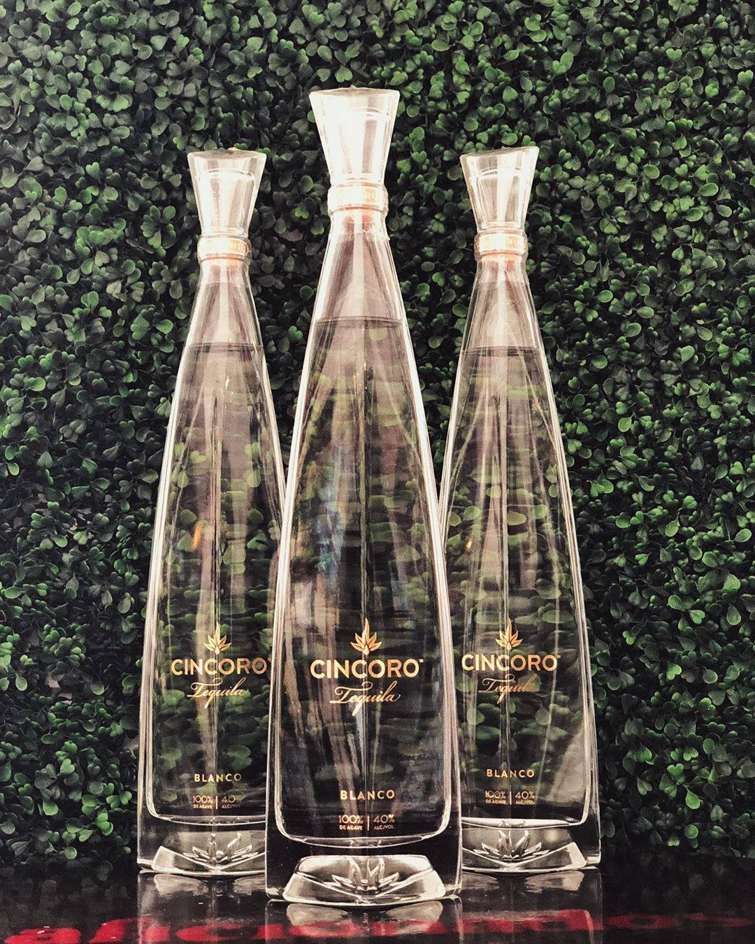 Three Cincoro Tequila Bottle In Leaves Background