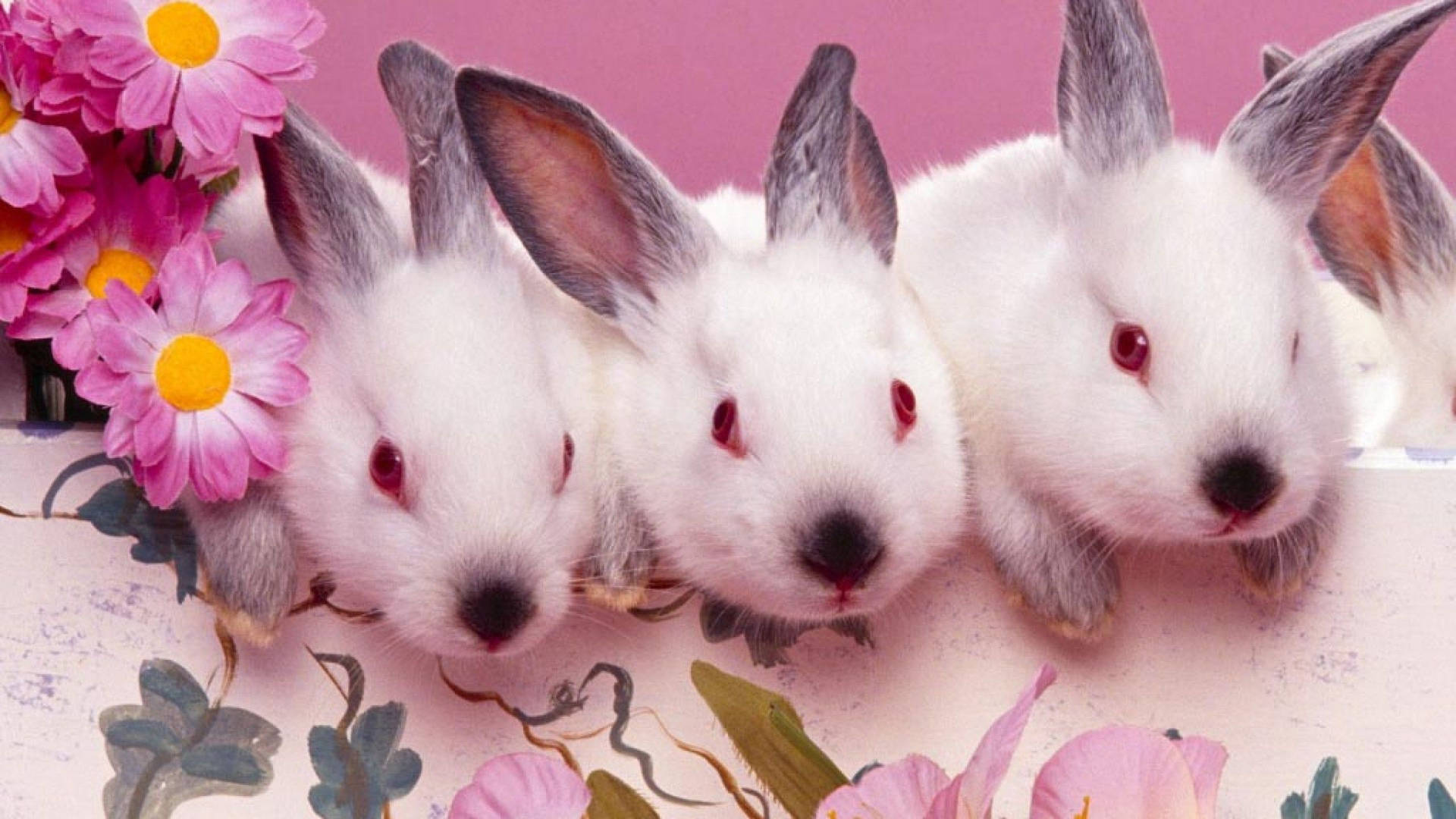 Three Cute Easter Bunnies Background