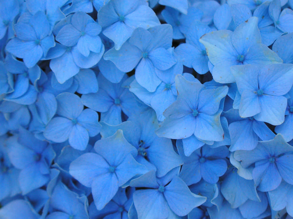 Three Different Shades Of Blue Come Together For A Beautiful Contrast Background