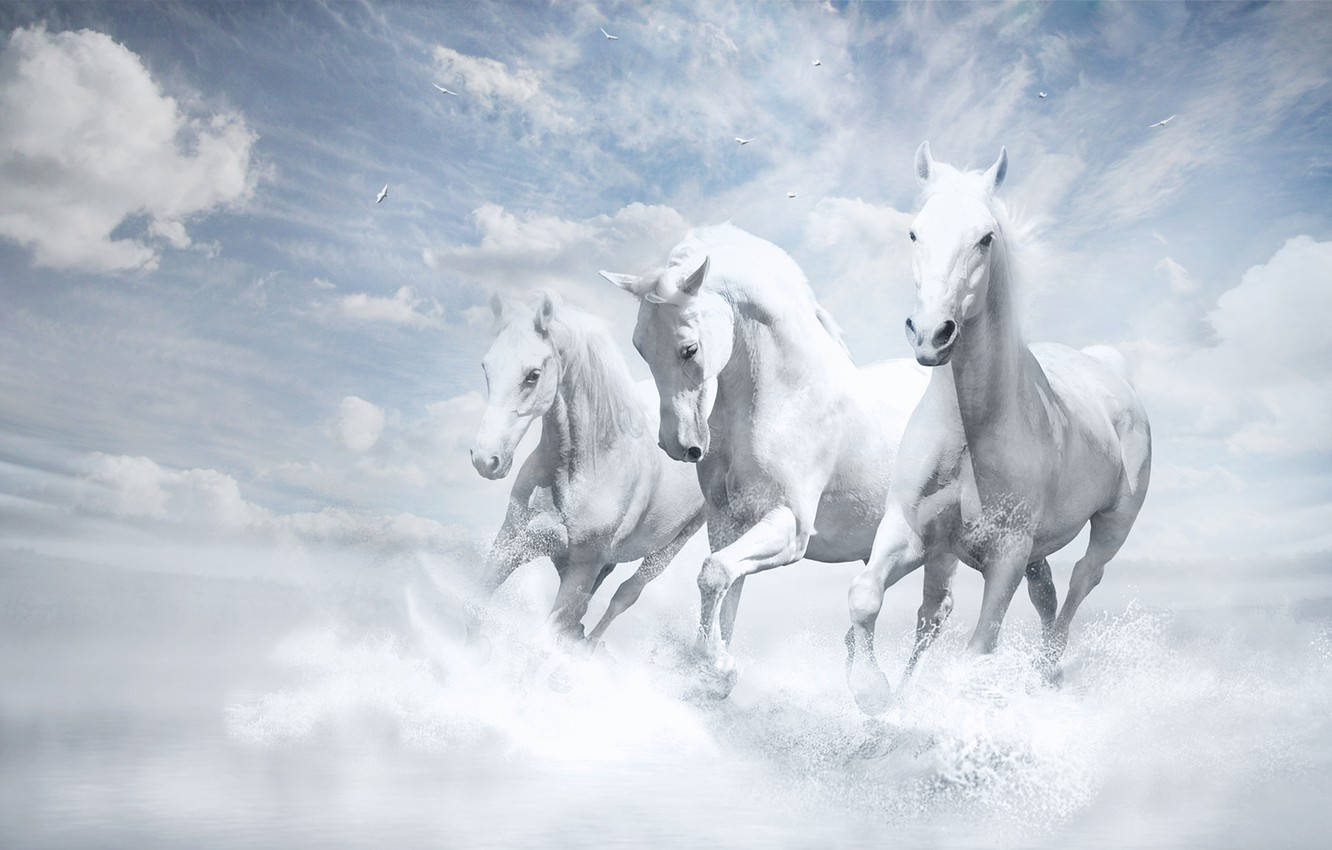 Three Galloping White Horses Background