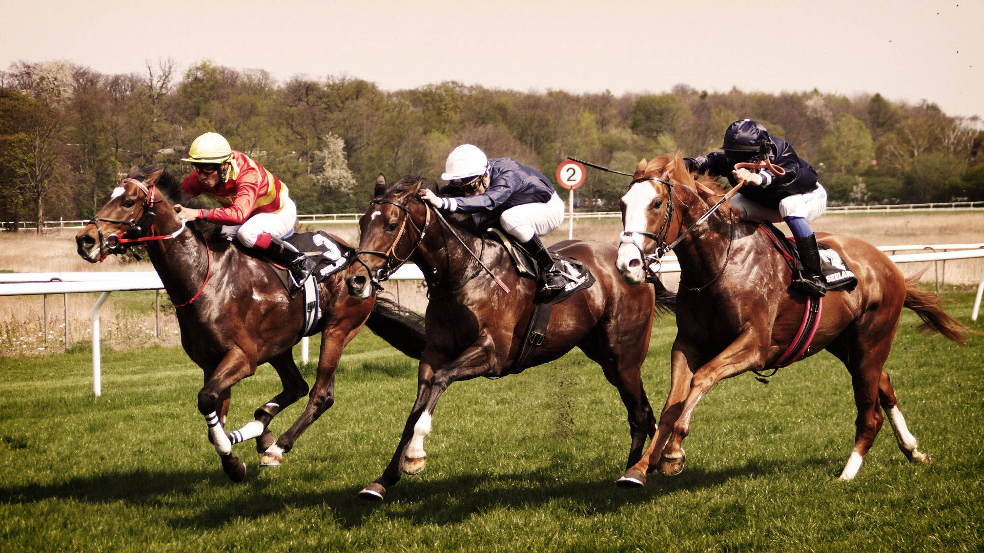 Three Horsemen In A Horse Racing Background