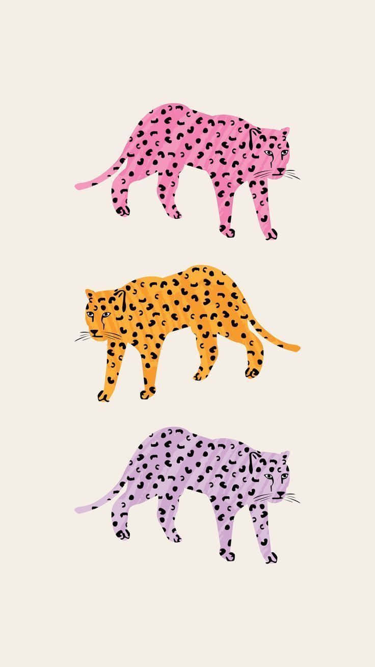 Three Leopards Walking In A Row On A White Background Background