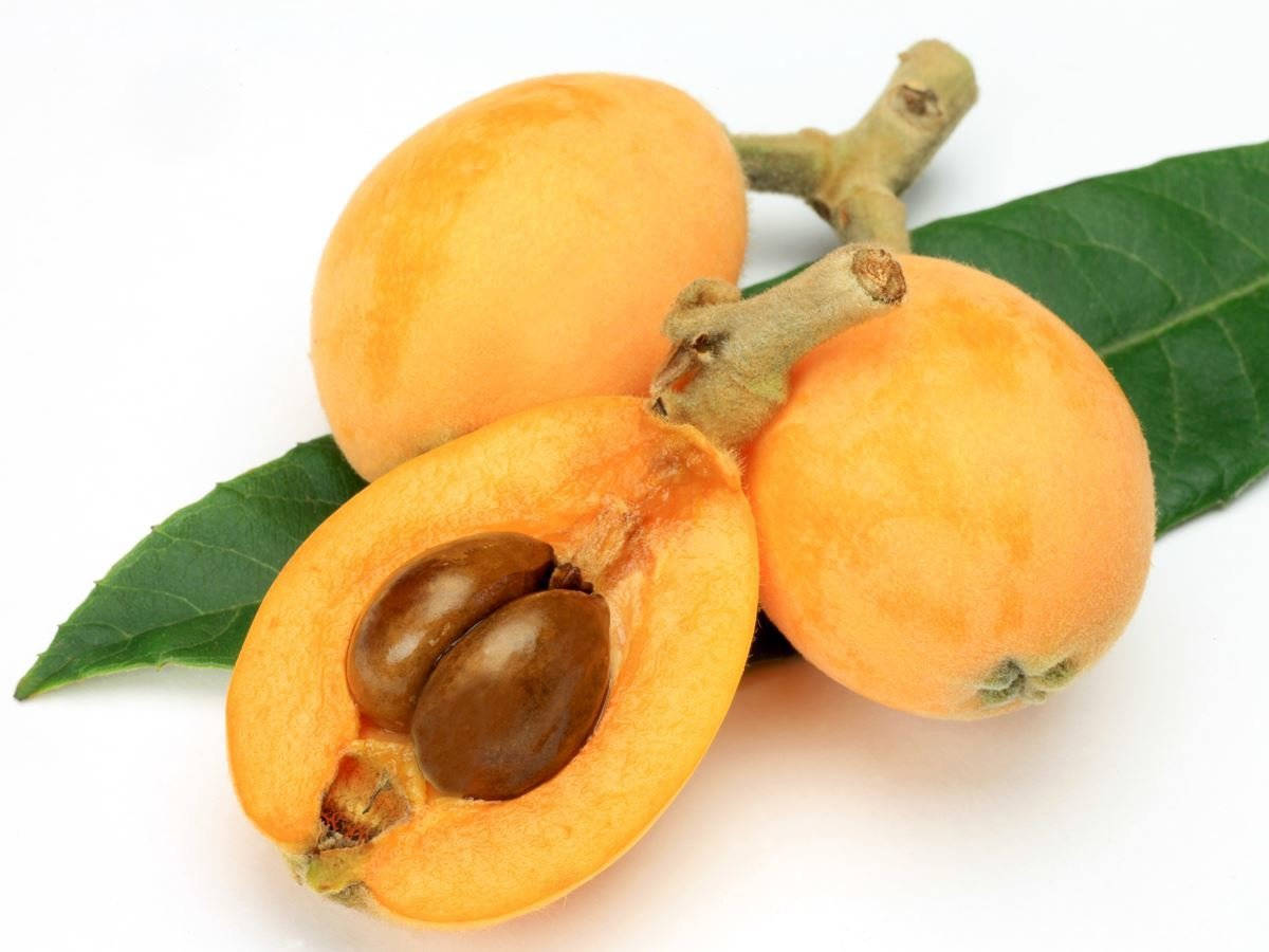 Three Loquat Fruits Background