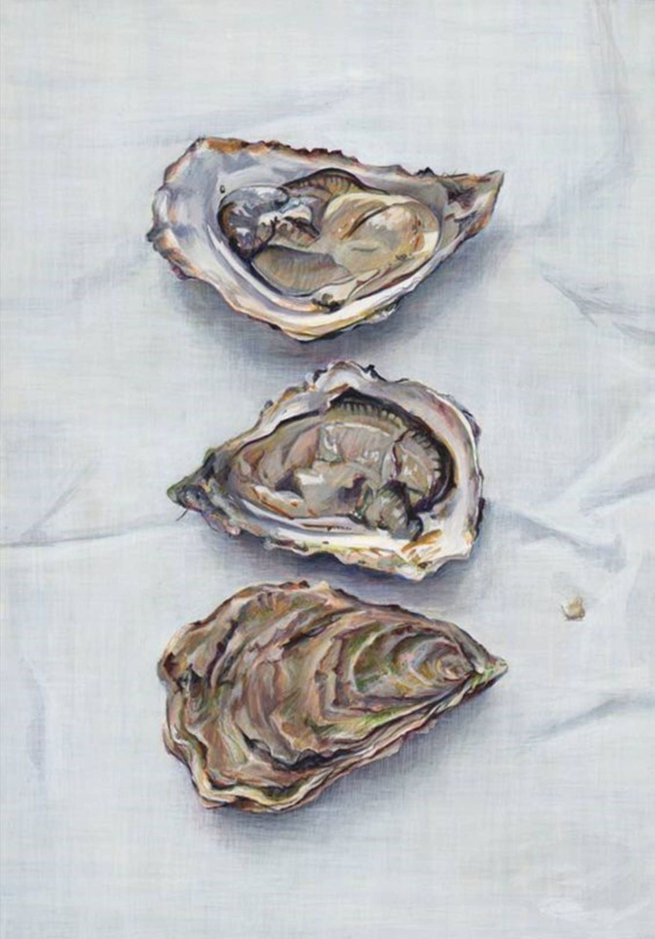 Three Oysters With Half-shells Background