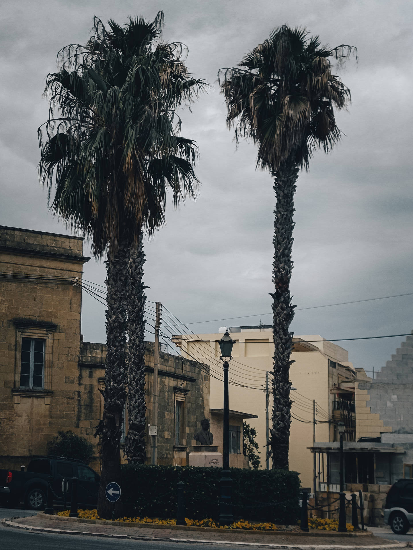 Three Palm Trees Malta