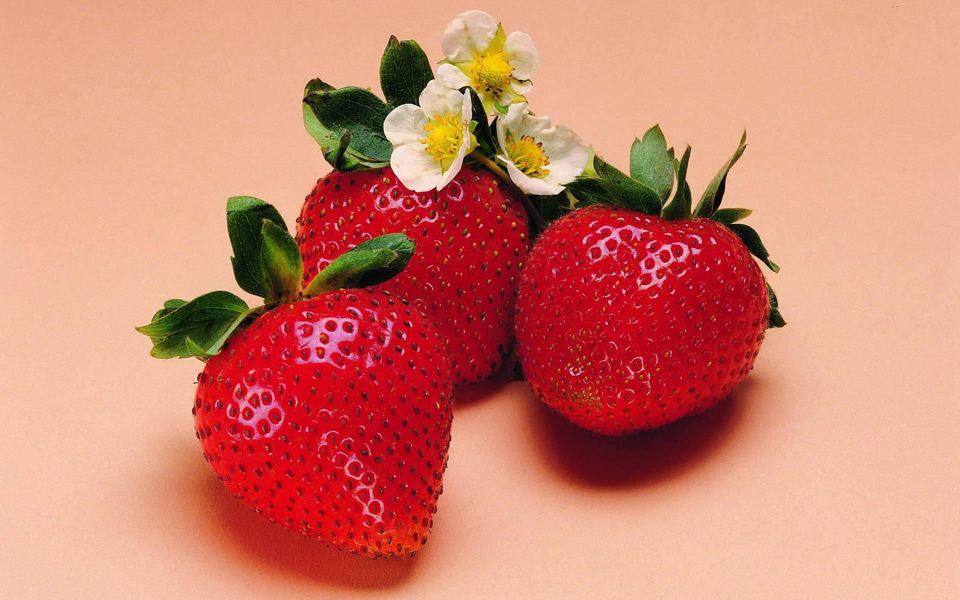 Three Pink Strawberries Background