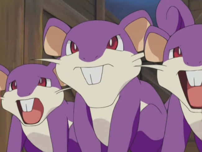 Three Pokemon Ratta With Purple Fur And Red Eyes Background