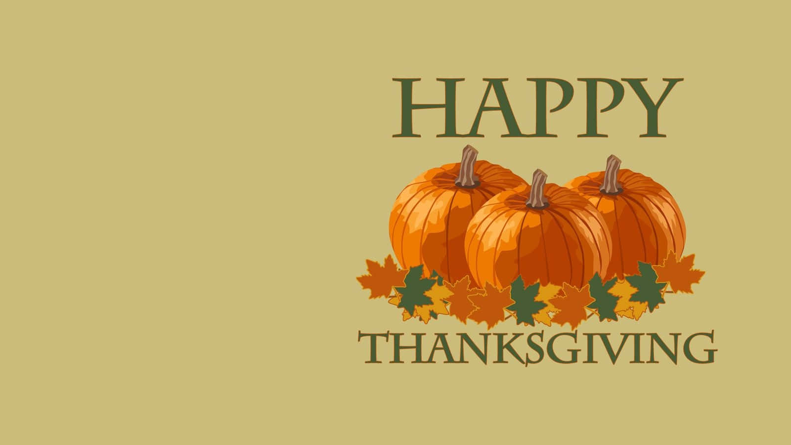 Three Pumpkins Happy Thanksgiving Greeting Card Background