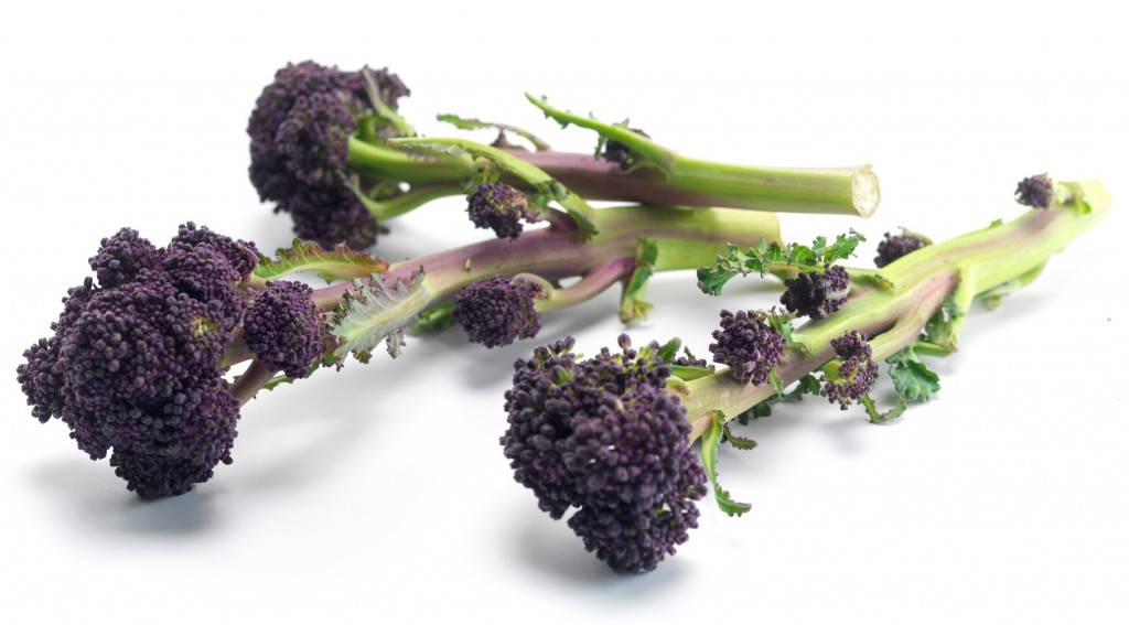 Three Purple Broccoli Flowers Background