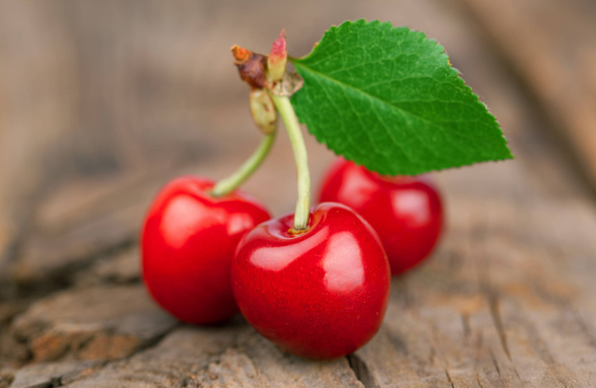 Three Red Cherries