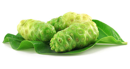 Three Ripe Noni Fruits On A Leaf Background