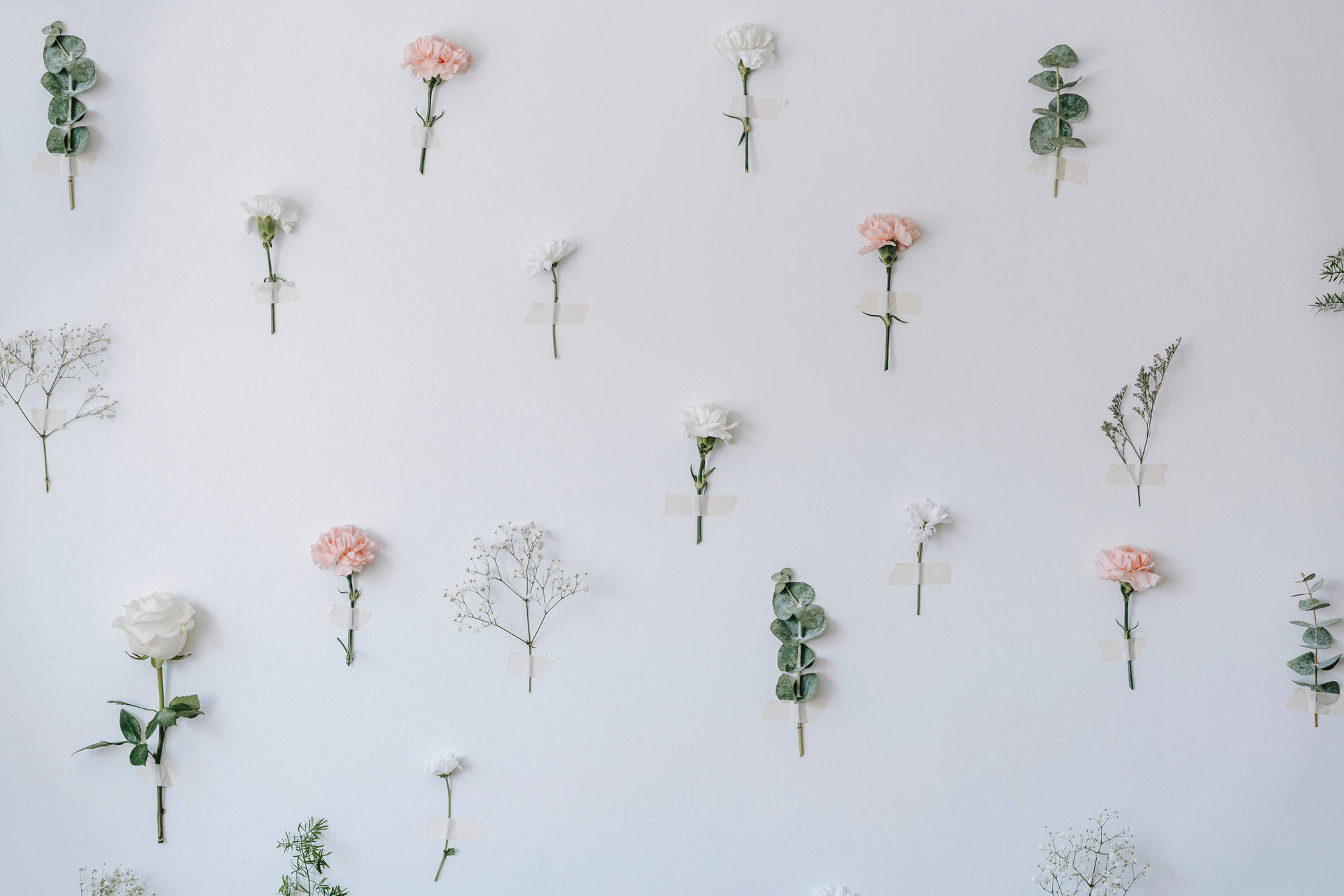 Three Soft & Delicate Pastel Flowers Background