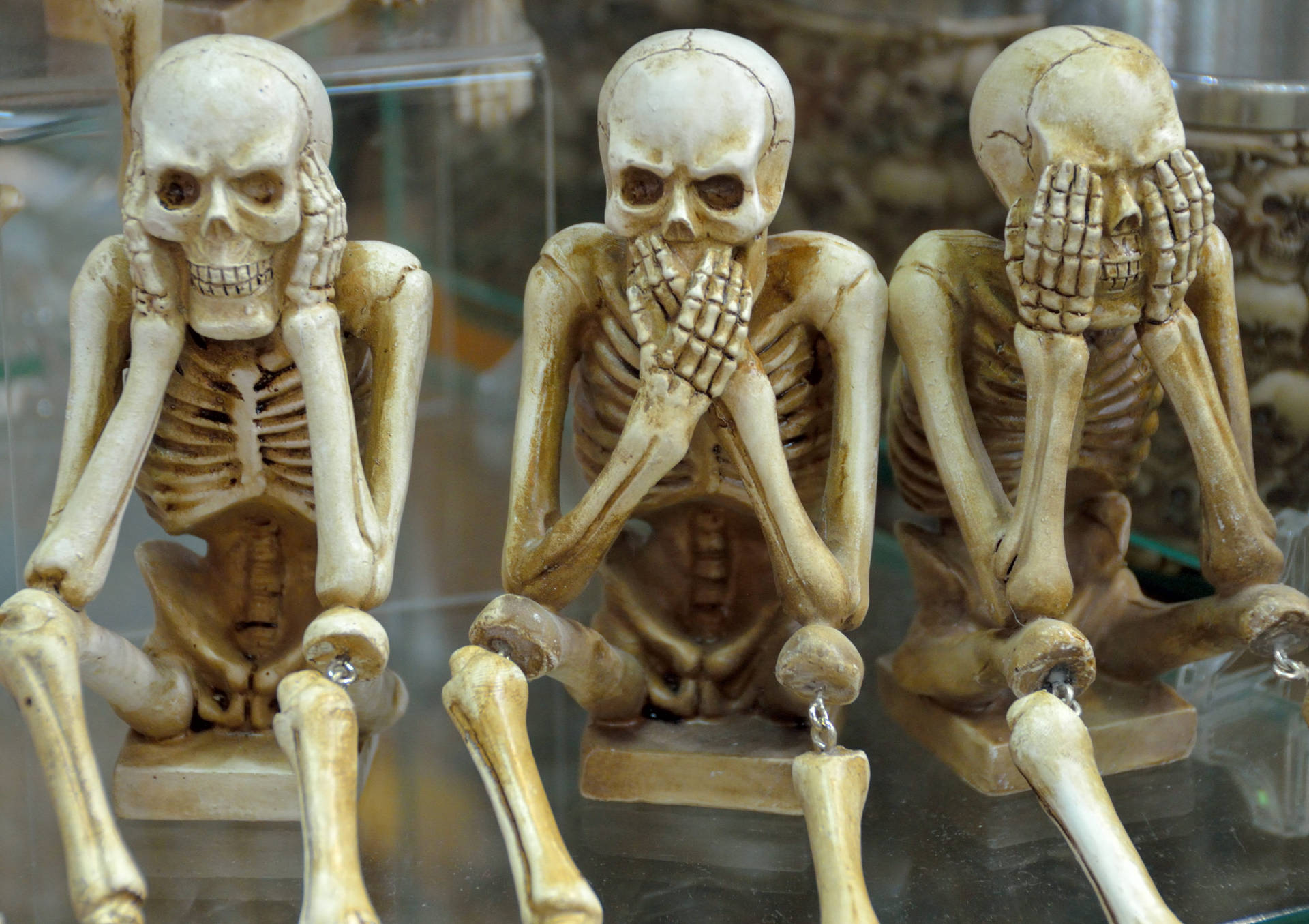 Three Wise Skeleton Desktop