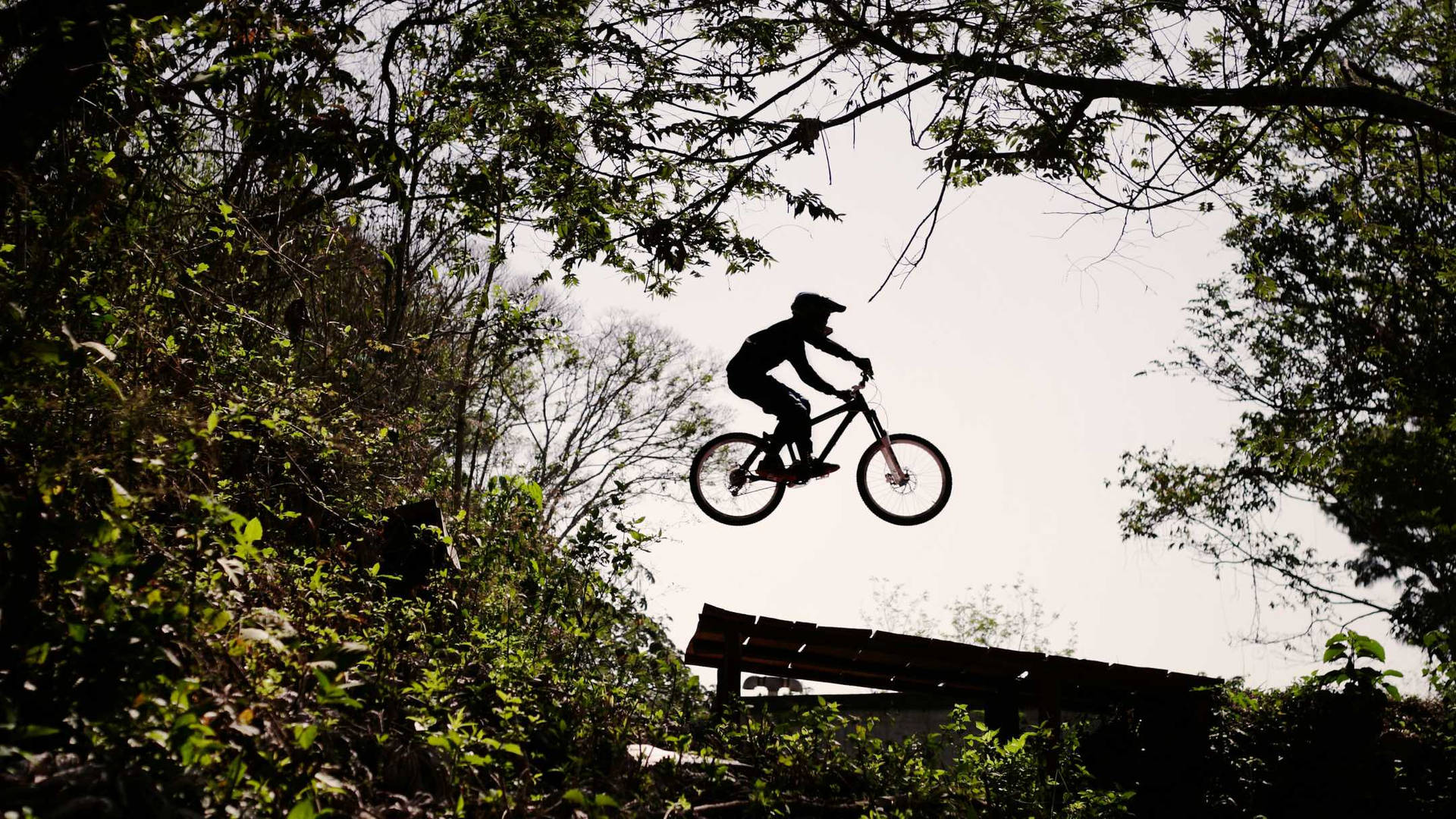 Thrilling Cyclist Performing Freeride At Mountain Rampage Background