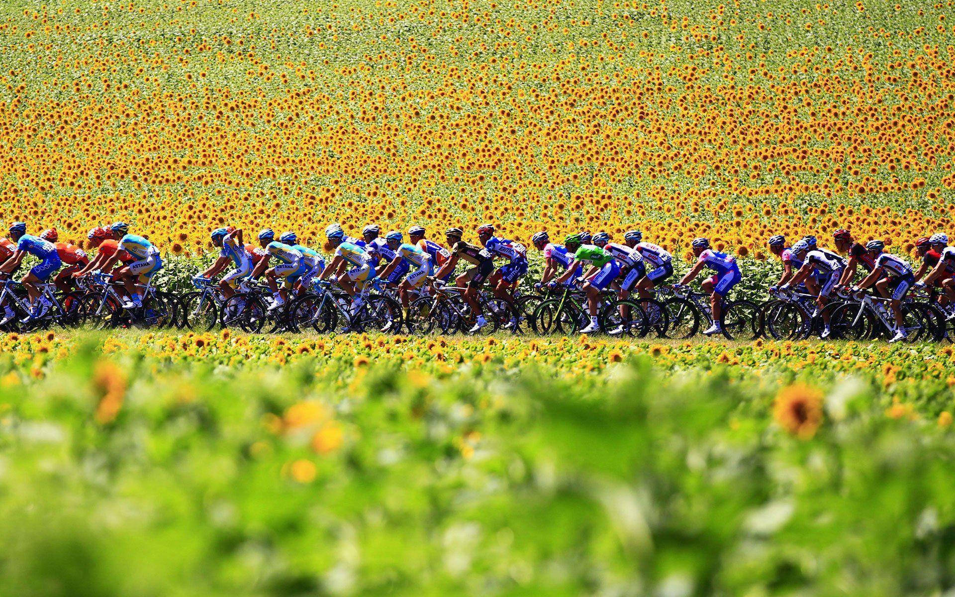 Thrilling Moments From The 2010 Tour De France Background