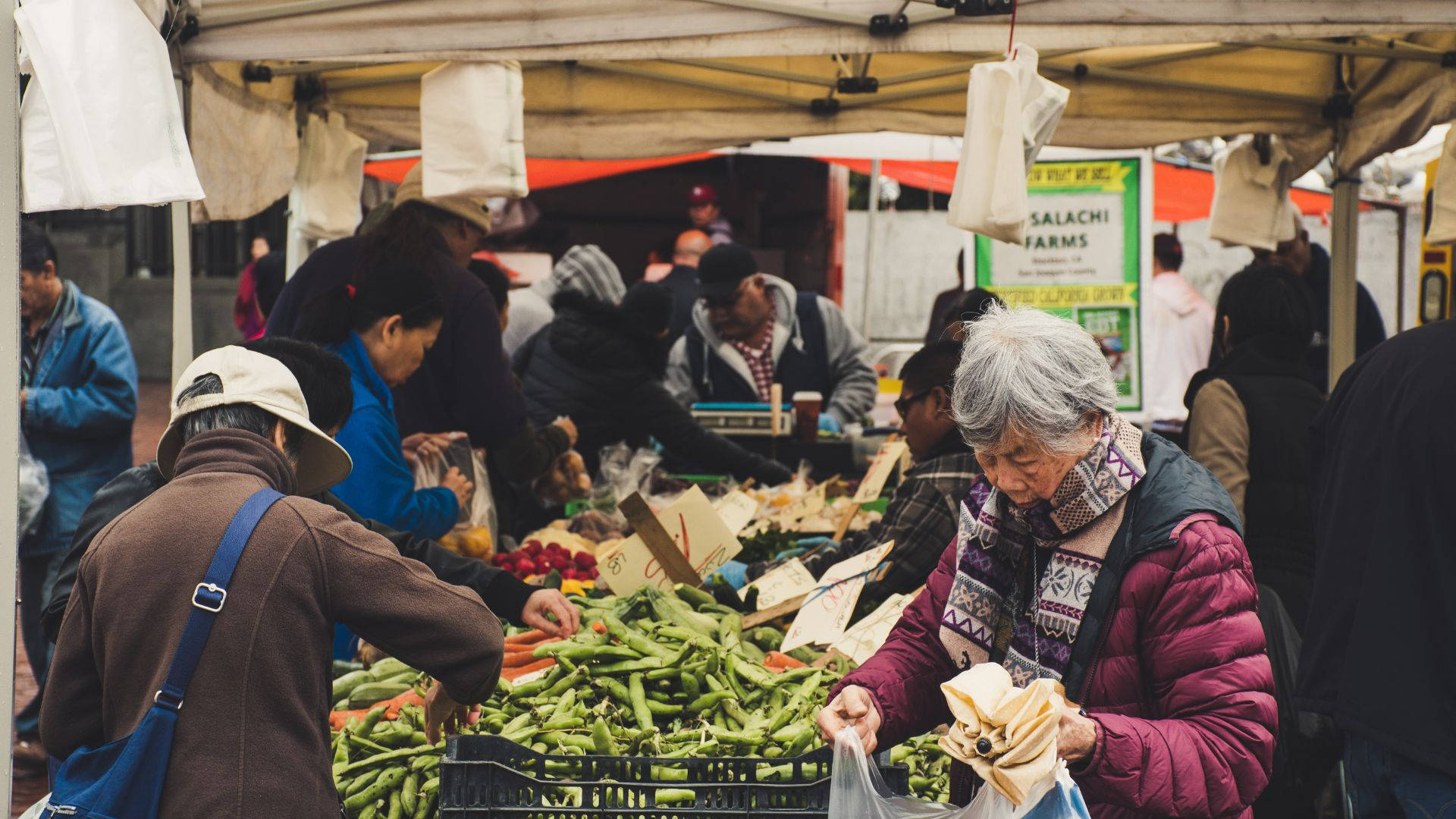 Thriving Plastic Bag Market