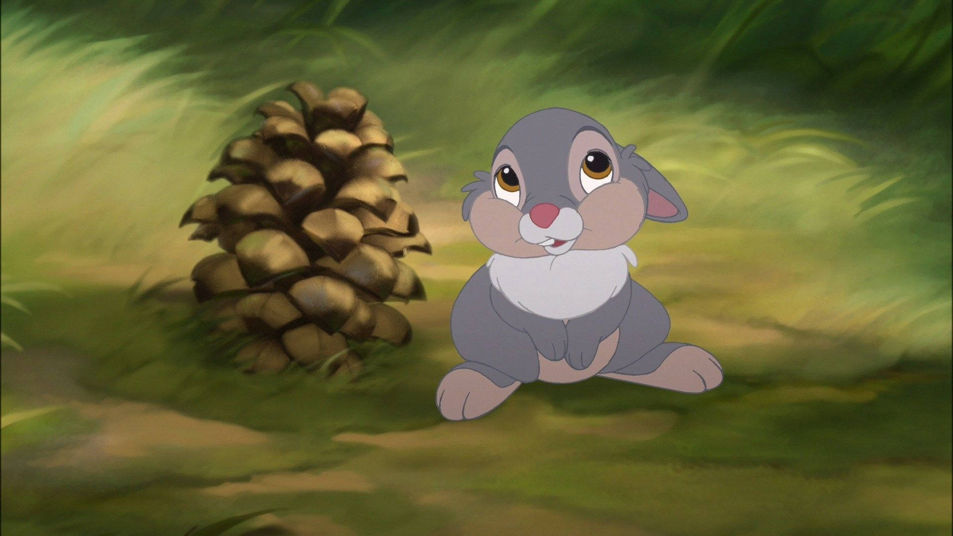 Thumper Looking Up Background