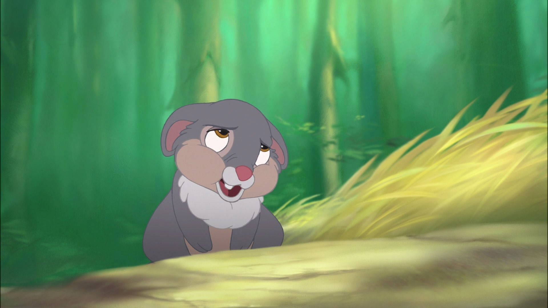 Thumper Shy Face Background