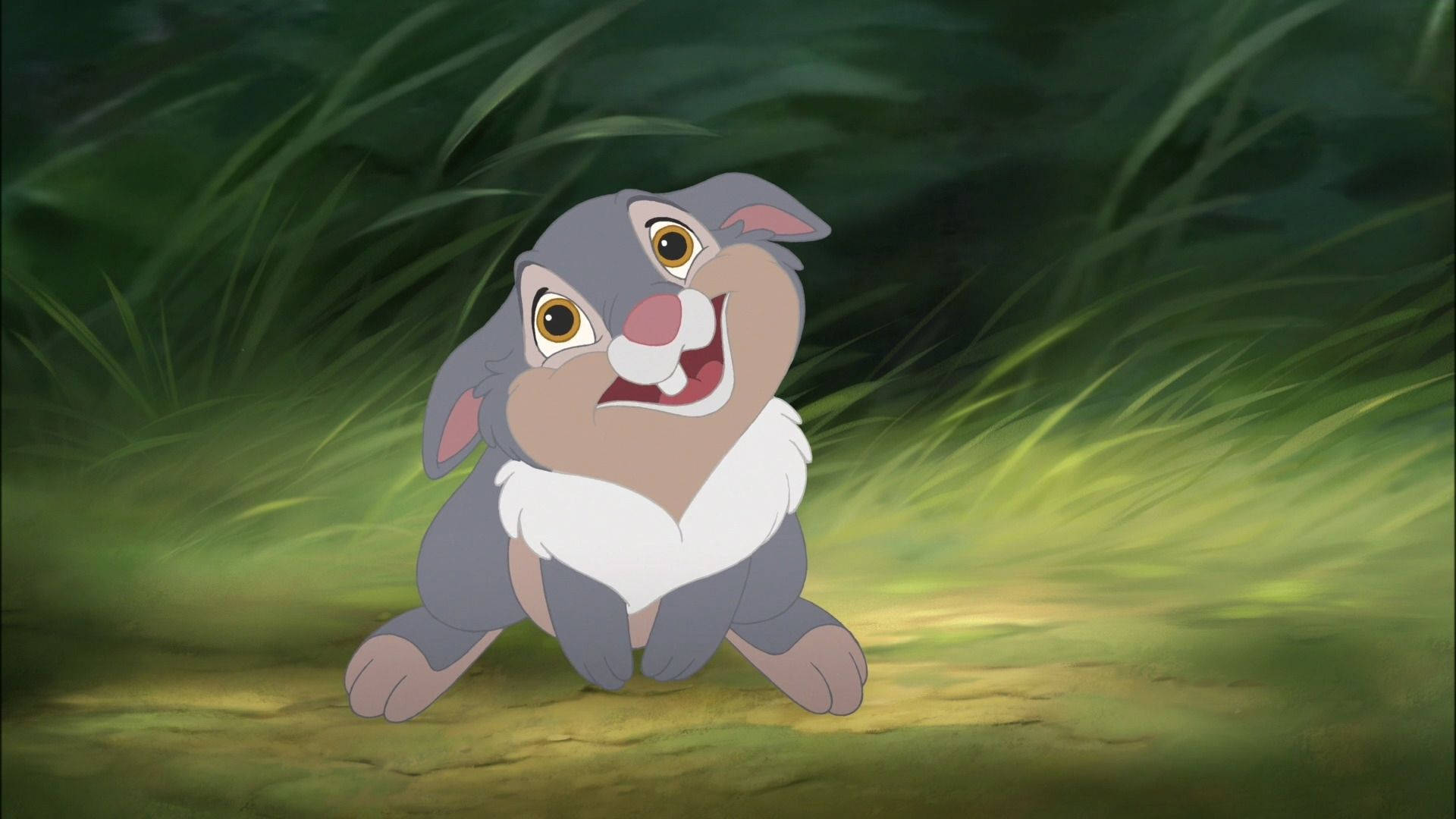 Thumper Smiling Shyly Background
