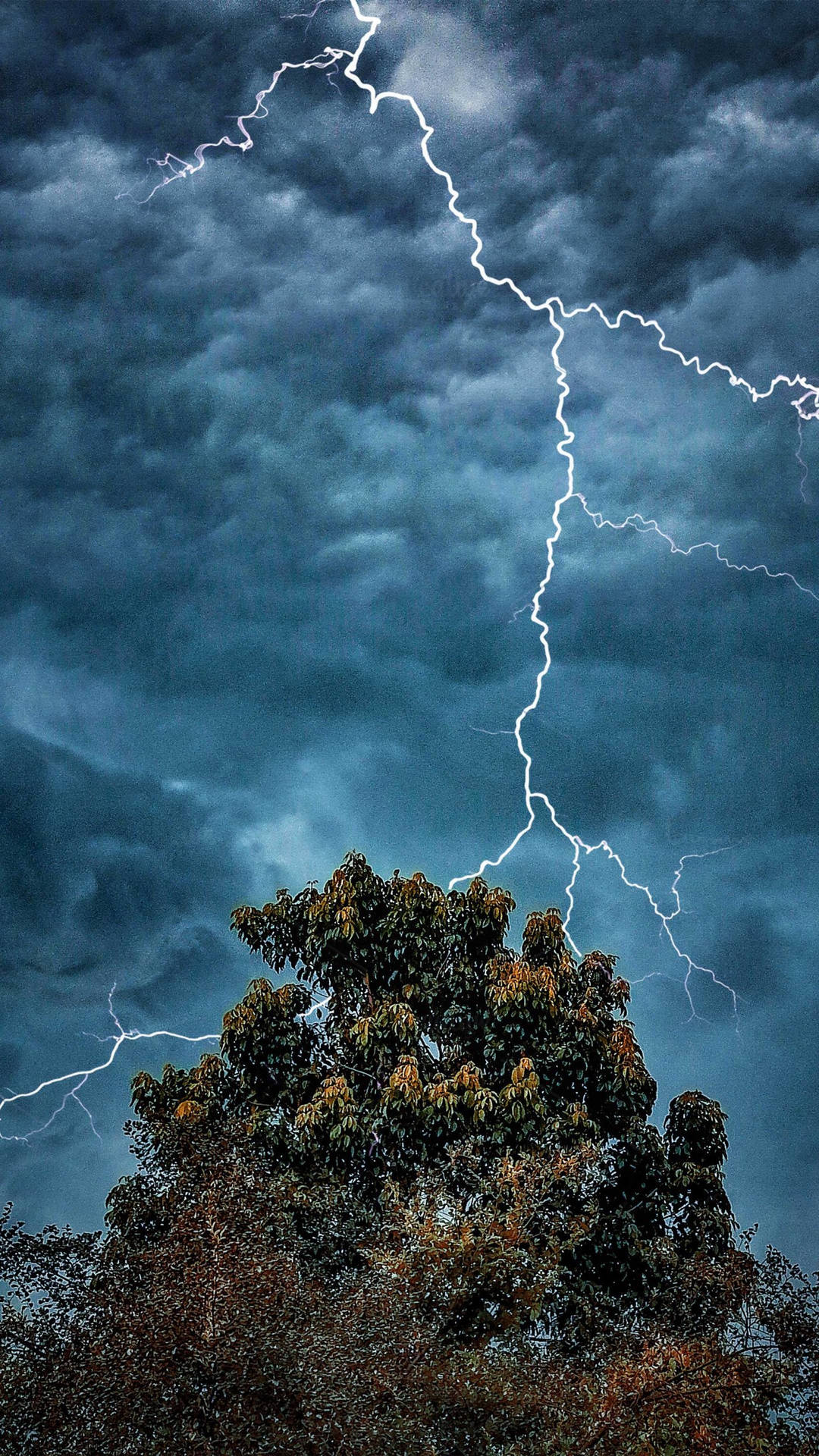 Thunderstorm Behind Tree Background