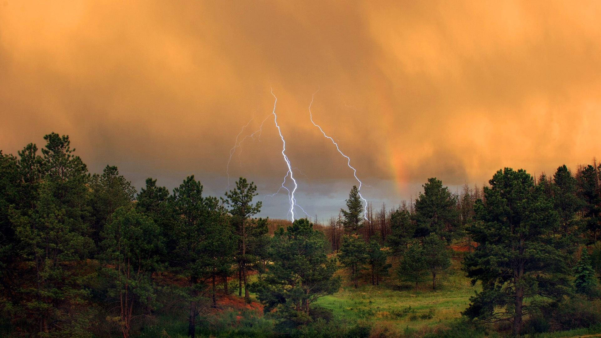 Thunderstorm Over Forest Background