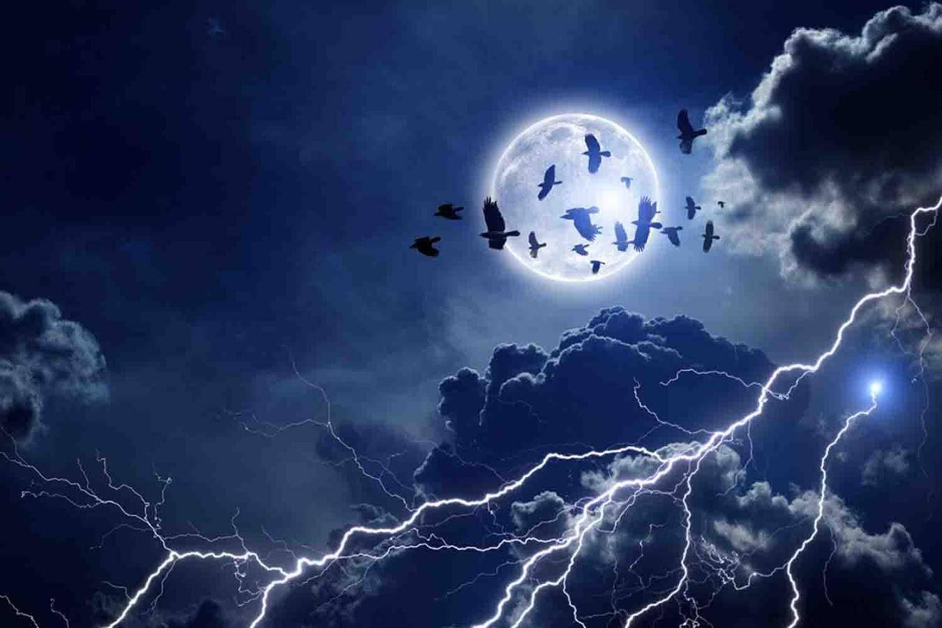 Thunderstorm With Birds Background